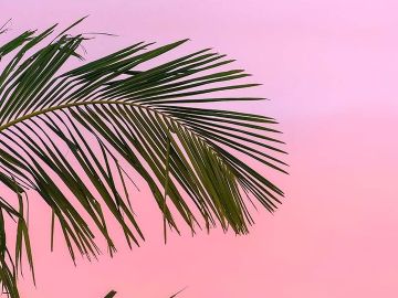 [#Summer] Bienvenue l'été ! ☀️ On sent comme un air de vacances et de soleil ?