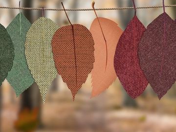 [#Automne] ? C'est parti pour une nouvelle saison ! ? La saison du renouvellement et pourquoi pas la refonte de votre site Web ? ?