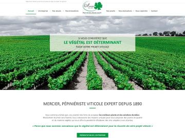 [#NouveauSite] ?️ Vous êtes à la recherche d'un expert pépiniériste viticole ? ? Mercier Groupe met à votre disposition son expertise et sa fiabilité pour...